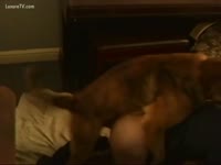 Zoo Sex DVD - Mutt in doggy style